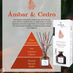 AMBIENTADOR MIKADO FORTALEZA ÁMBAR Y CEDRO
