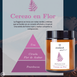 VELA AROMÁTICA RENACER CEREZO EN FLOR